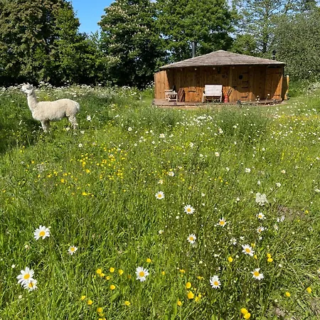 Acorn Glade Glamping Villa York Exterior photo