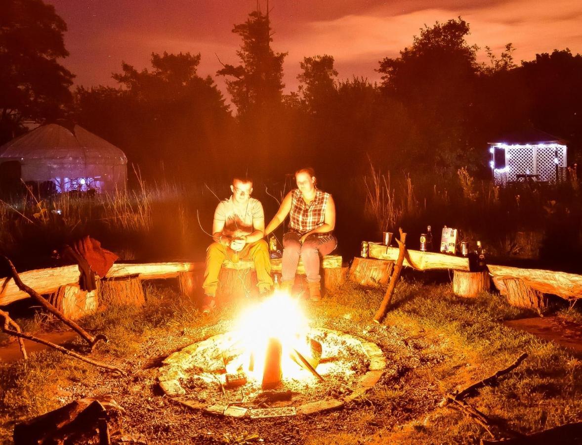 Acorn Glade Glamping Йорк